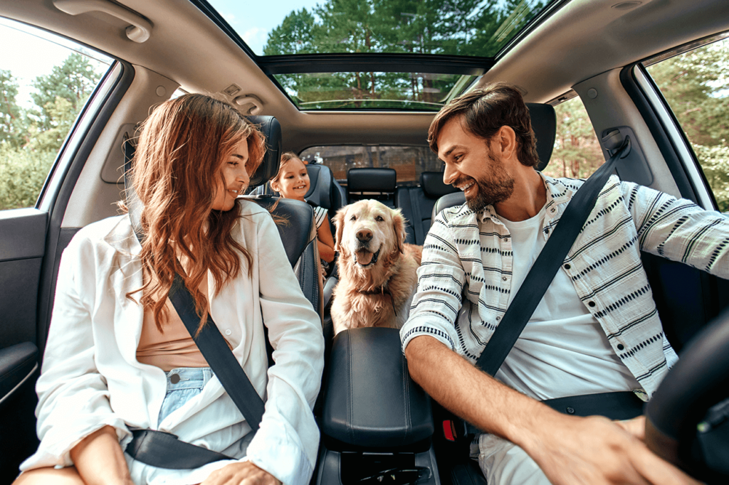 Young family with child and dog in the backseat in the car